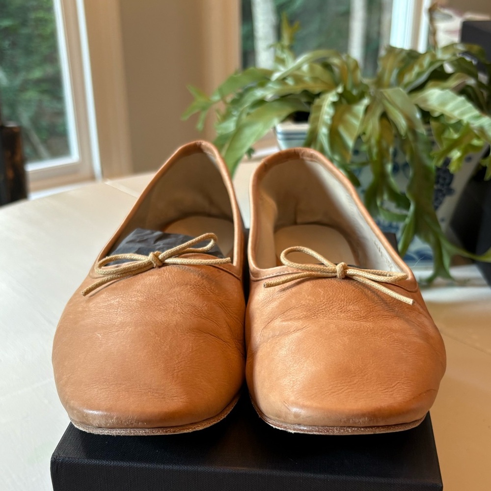 Freda Salvador Roma Ballet Flats in Camel - Picture 12 of 12